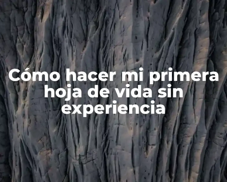 Cómo hacer mi primera hoja de vida sin experiencia