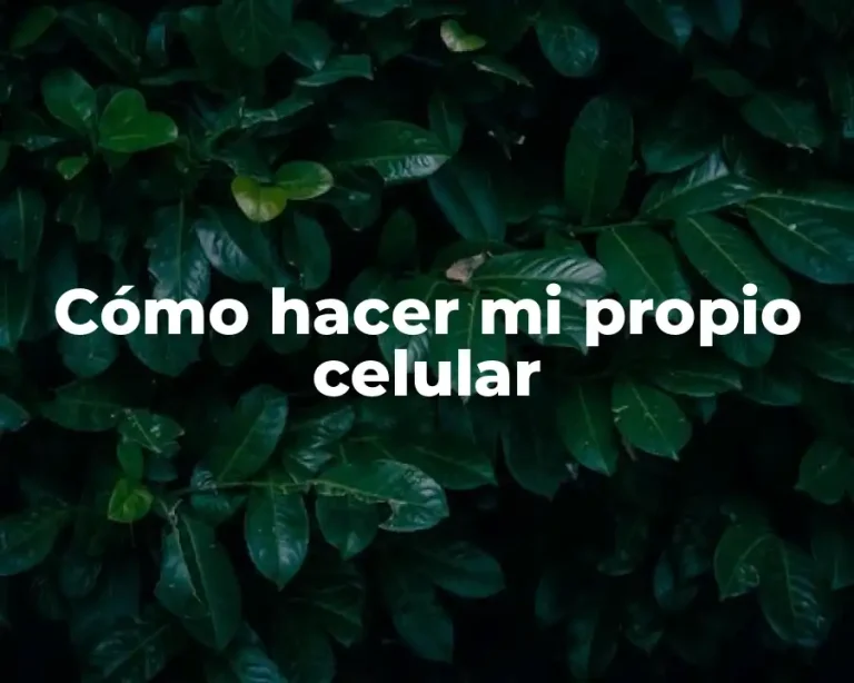 Cómo hacer mi propio celular