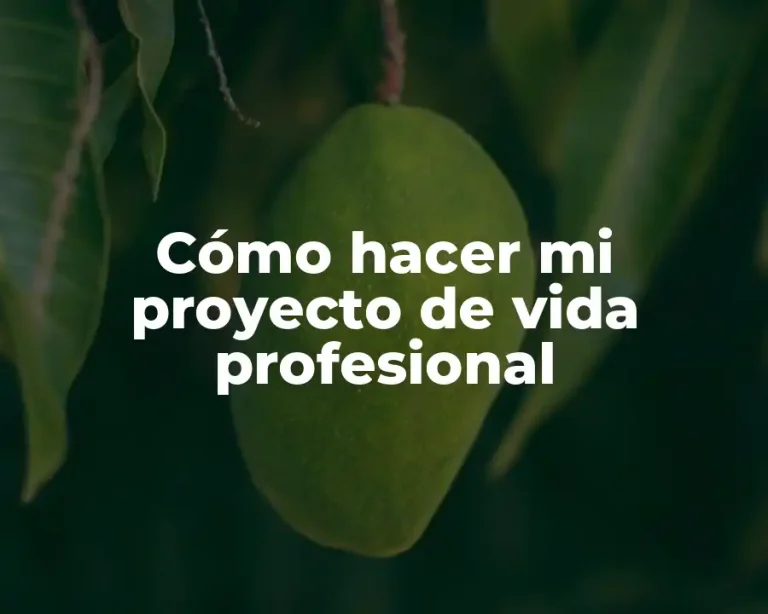 Cómo hacer mi proyecto de vida profesional