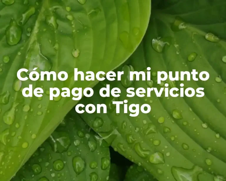 Cómo hacer mi punto de pago de servicios con Tigo