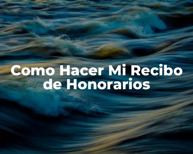 Como Hacer Mi Recibo de Honorarios