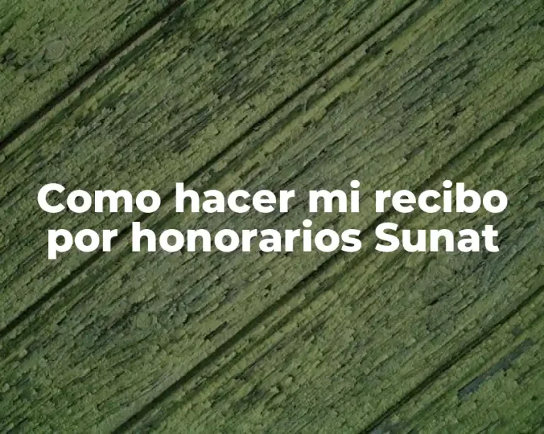 Como hacer mi recibo por honorarios Sunat