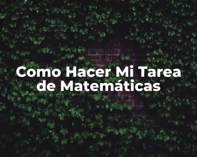 Como Hacer Mi Tarea de Matemáticas