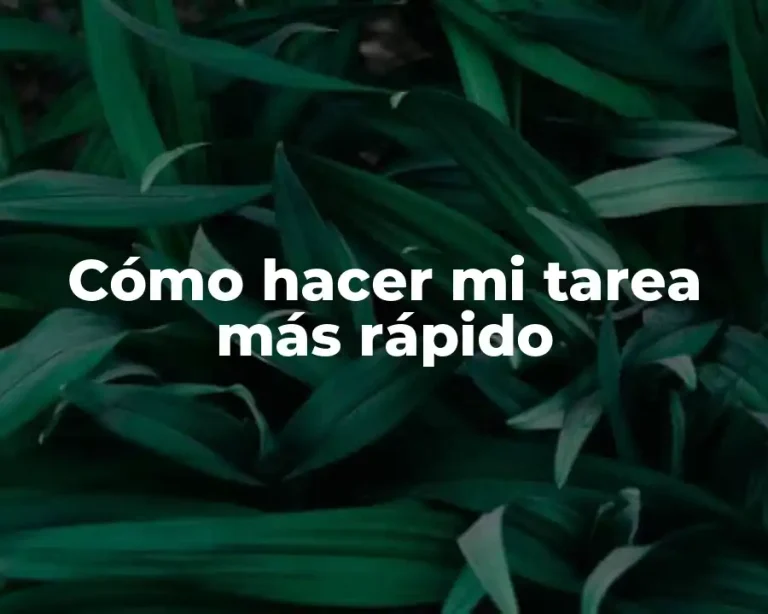 Cómo hacer mi tarea más rápido