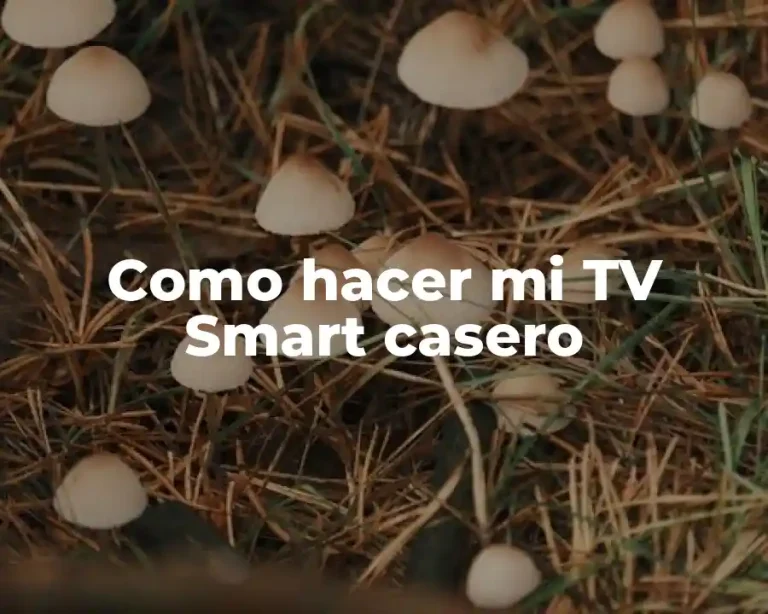 Como hacer mi TV Smart casero