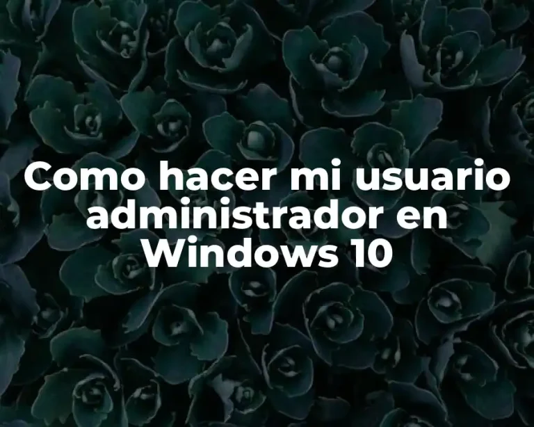 Como hacer mi usuario administrador en Windows 10