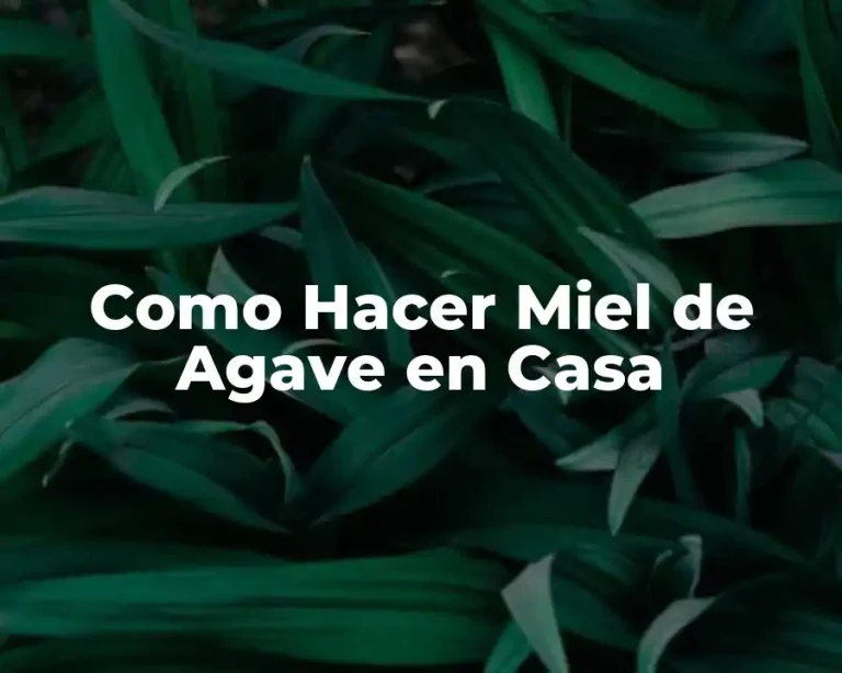 Como Hacer Miel de Agave en Casa