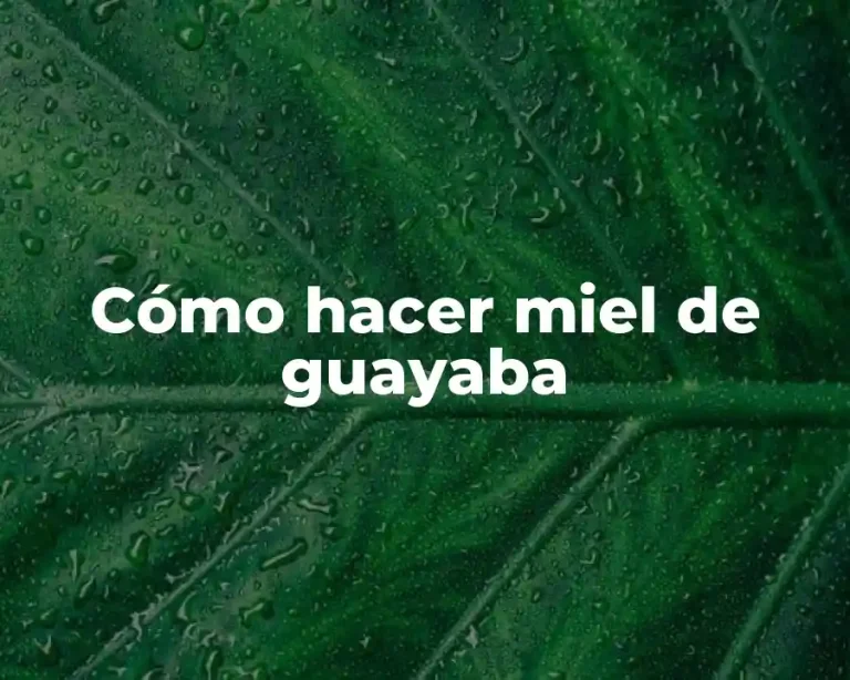 Cómo hacer miel de guayaba
