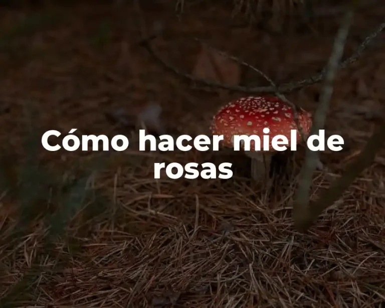 Cómo hacer miel de rosas