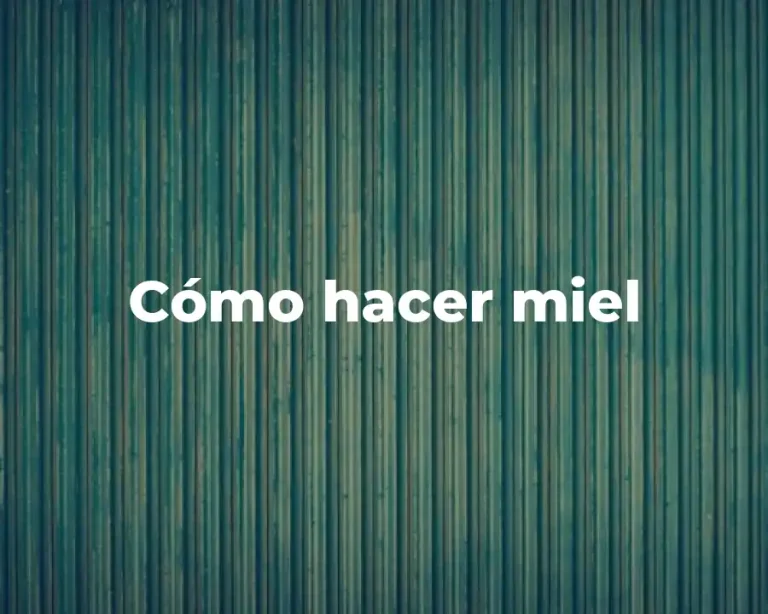 Cómo hacer miel