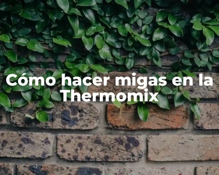 Cómo hacer migas en la Thermomix