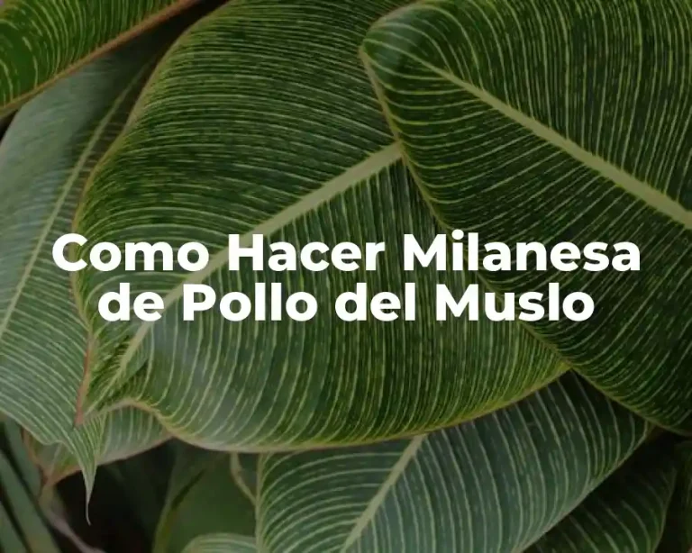 Como Hacer Milanesa de Pollo del Muslo