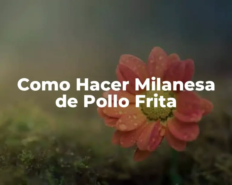 Como Hacer Milanesa de Pollo Frita