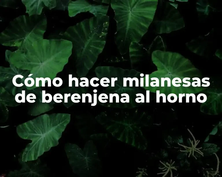 Cómo hacer milanesas de berenjena al horno