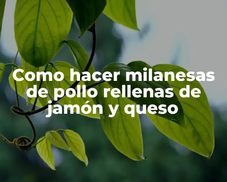 Como hacer milanesas de pollo rellenas de jamón y queso