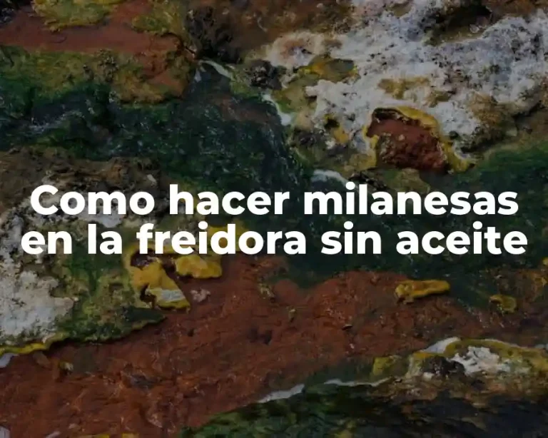 Como hacer milanesas en la freidora sin aceite