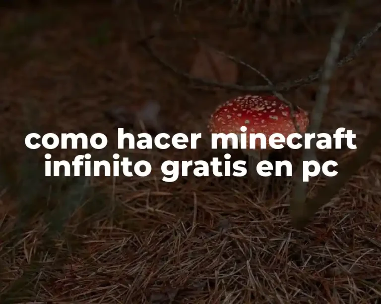 como hacer minecraft infinito gratis en pc