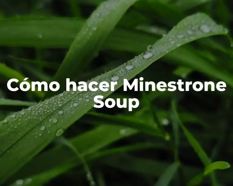Cómo hacer Minestrone Soup