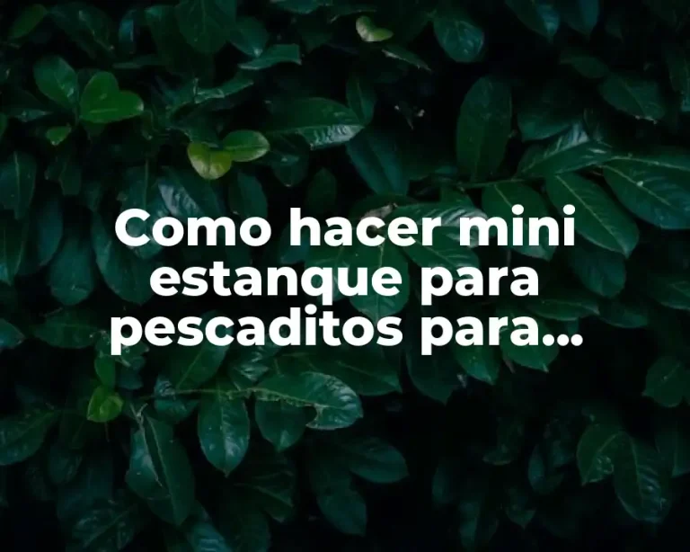 Como hacer mini estanque para pescaditos para interiores