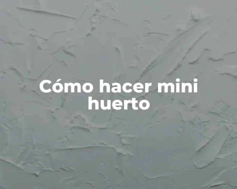 Cómo hacer mini huerto