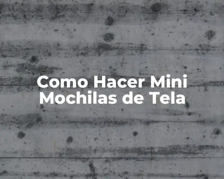 Como Hacer Mini Mochilas de Tela