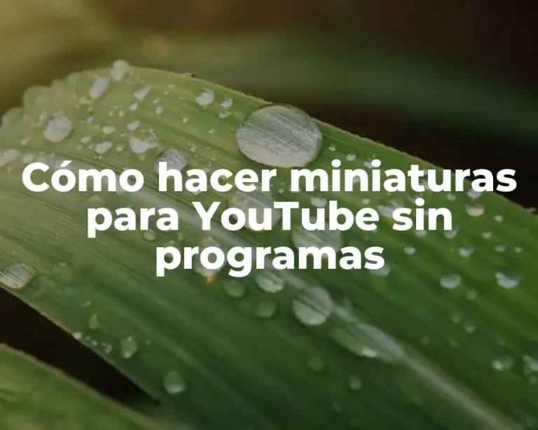 Cómo hacer miniaturas para YouTube sin programas