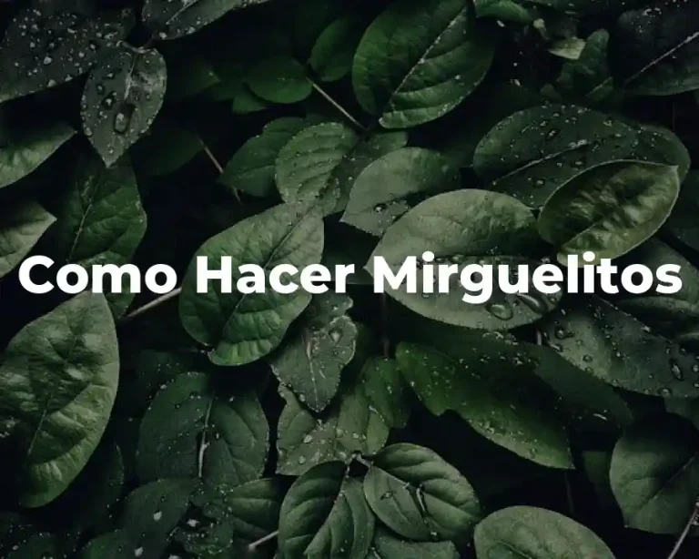 Como Hacer Mirguelitos