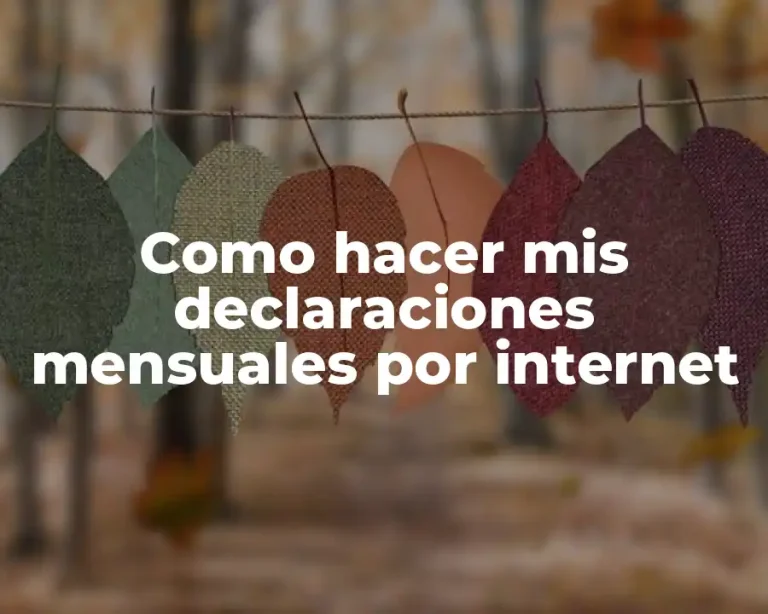 Como hacer mis declaraciones mensuales por internet