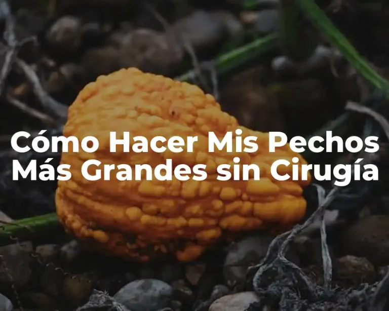 Cómo Hacer Mis Pechos Más Grandes sin Cirugía