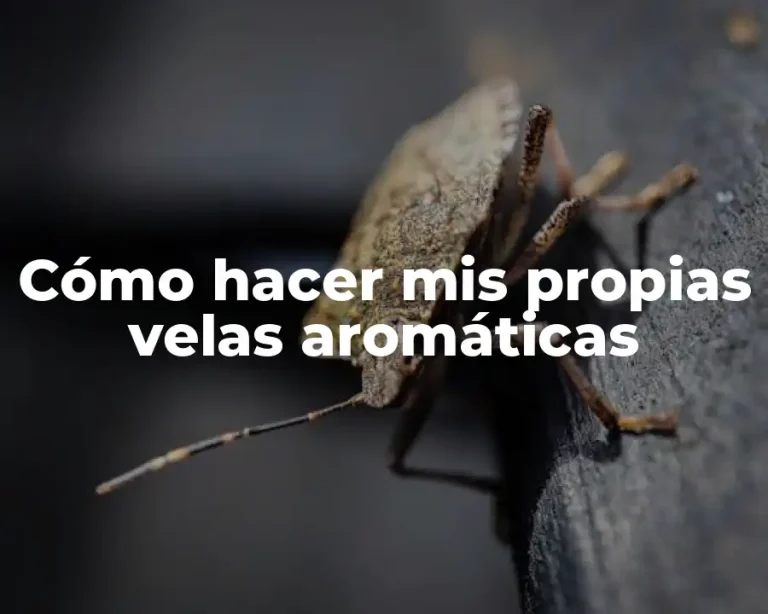 Cómo hacer mis propias velas aromáticas