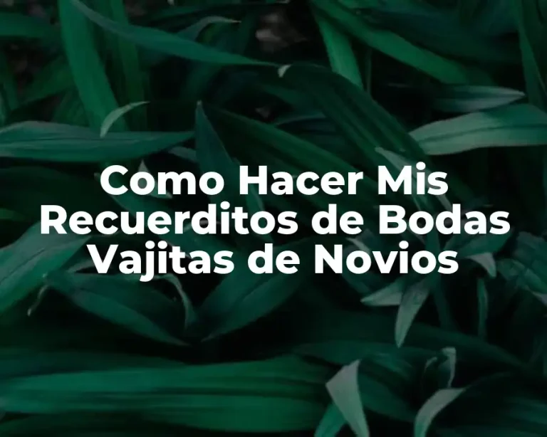 Como Hacer Mis Recuerditos de Bodas Vajitas de Novios