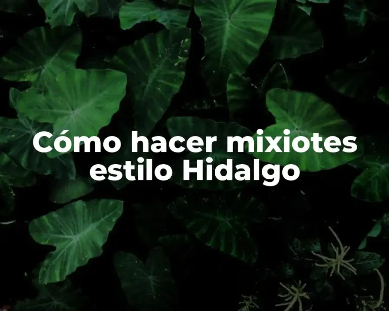 Cómo hacer mixiotes estilo Hidalgo