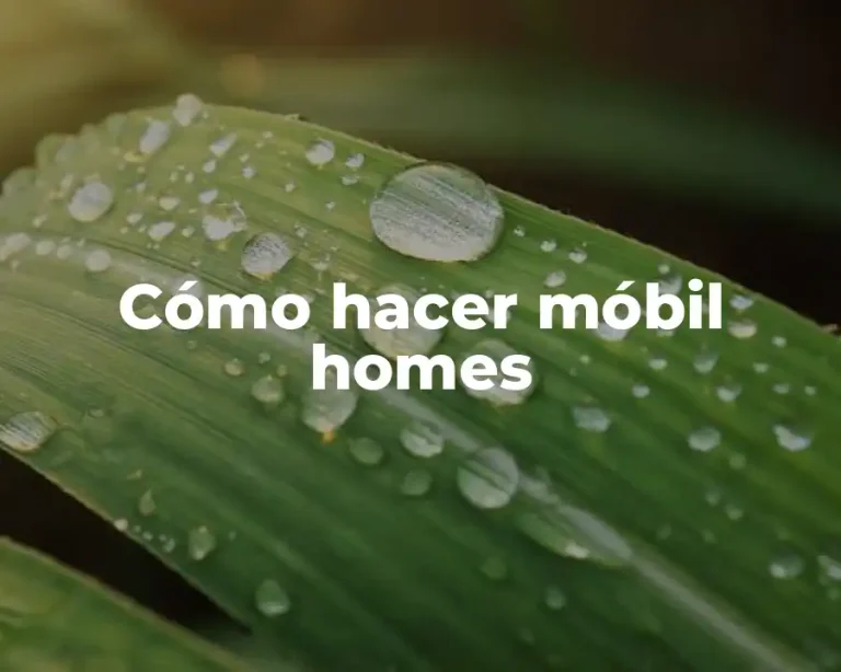 Cómo hacer móbil homes