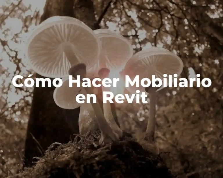 Cómo Hacer Mobiliario en Revit