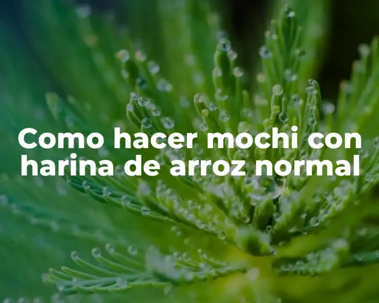 Como hacer mochi con harina de arroz normal