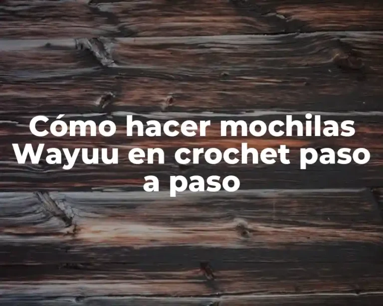 Cómo hacer mochilas Wayuu en crochet paso a paso