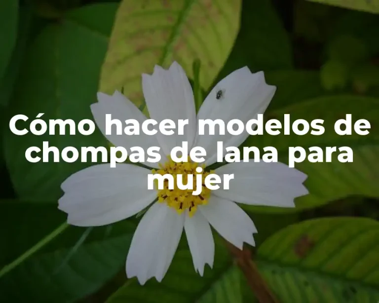 Cómo hacer modelos de chompas de lana para mujer