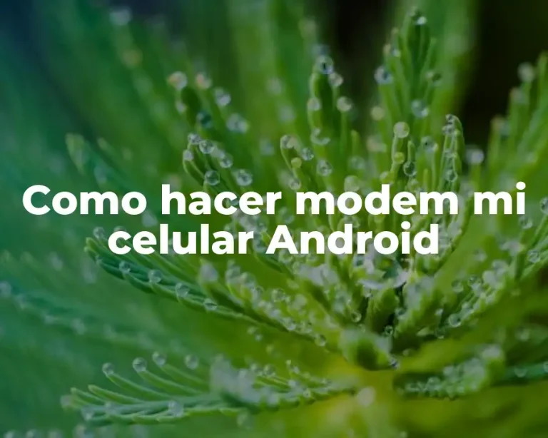 Como hacer modem mi celular Android