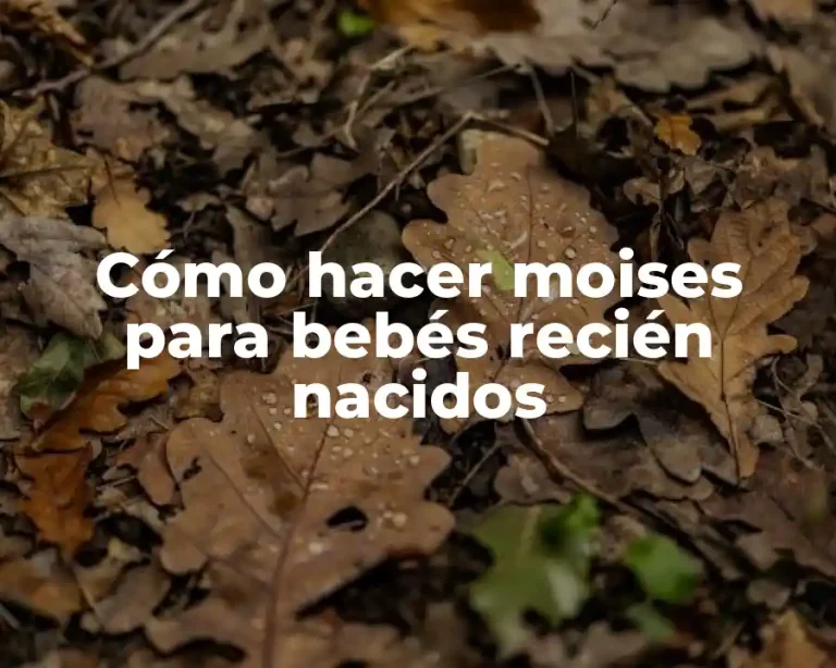 Cómo hacer moises para bebés recién nacidos