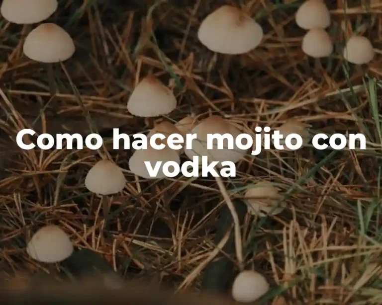 Como hacer mojito con vodka