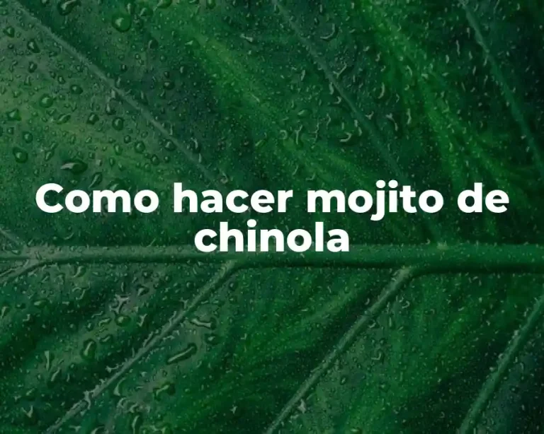 Como hacer mojito de chinola
