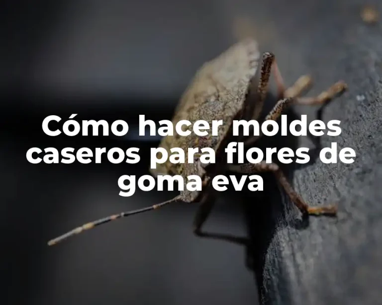 Cómo hacer moldes caseros para flores de goma eva