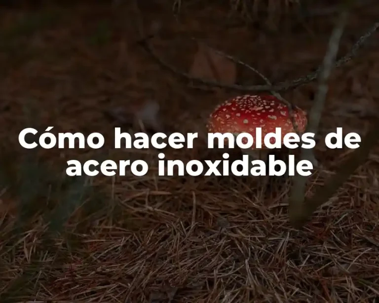 Cómo hacer moldes de acero inoxidable