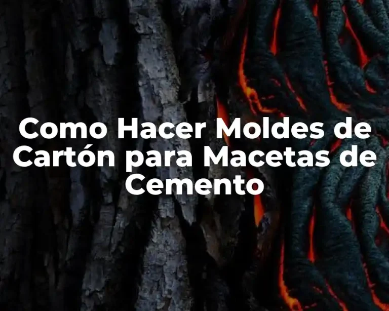 Como Hacer Moldes de Cartón para Macetas de Cemento