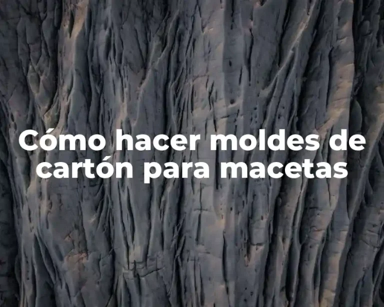 Cómo hacer moldes de cartón para macetas