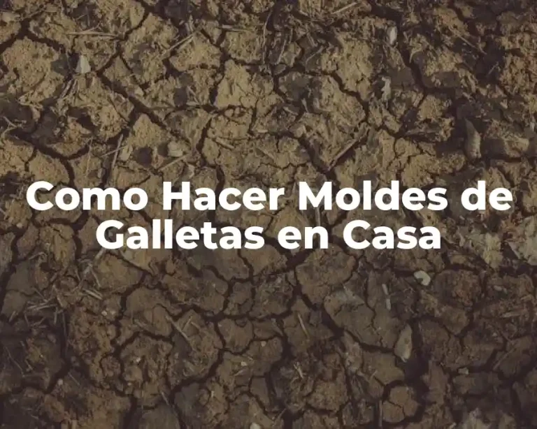 Como Hacer Moldes de Galletas en Casa