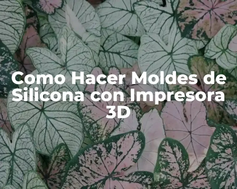 Como Hacer Moldes de Silicona con Impresora 3D