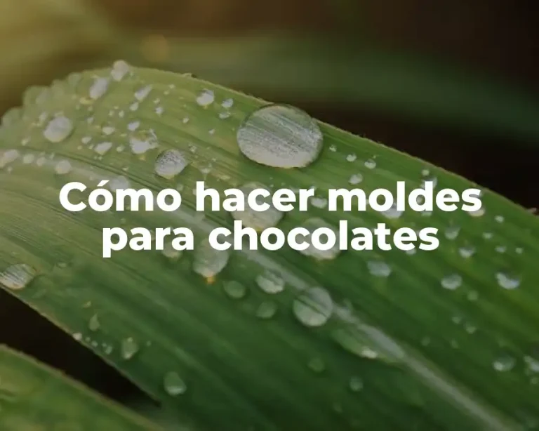 Cómo hacer moldes para chocolates