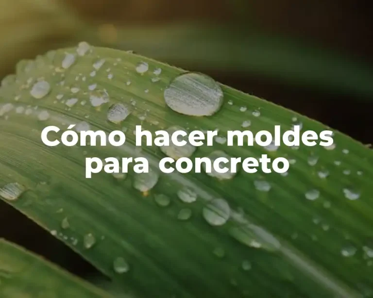 Cómo hacer moldes para concreto