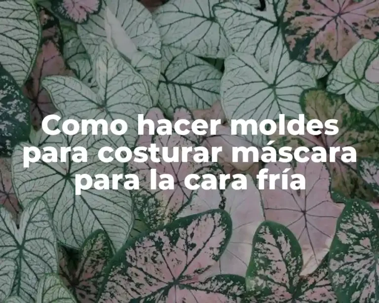 Como hacer moldes para costurar máscara para la cara fría
